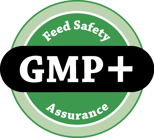 gmp