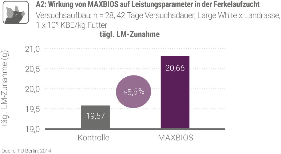 Bios A2 A