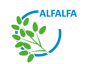 AlfaAlfa