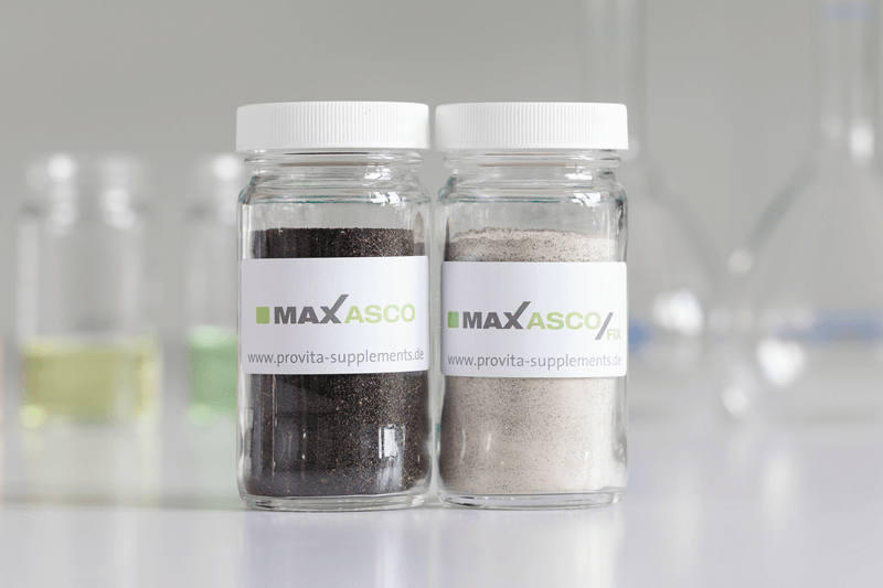 MAXASCO Portfolio