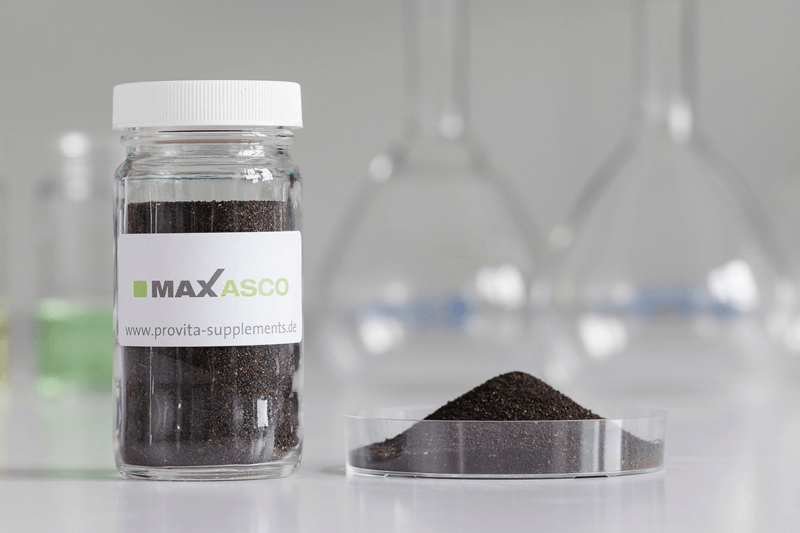 MAXASCO
