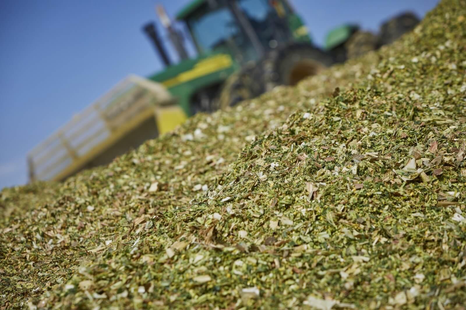 BonSilageF1 HiRez 0563 scaled