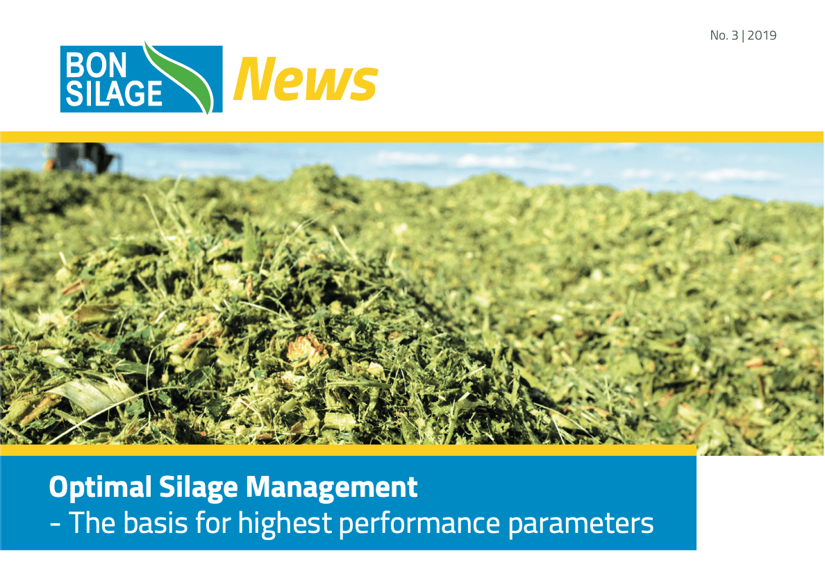 Screenshot 2020 09 03 at 18.07.23