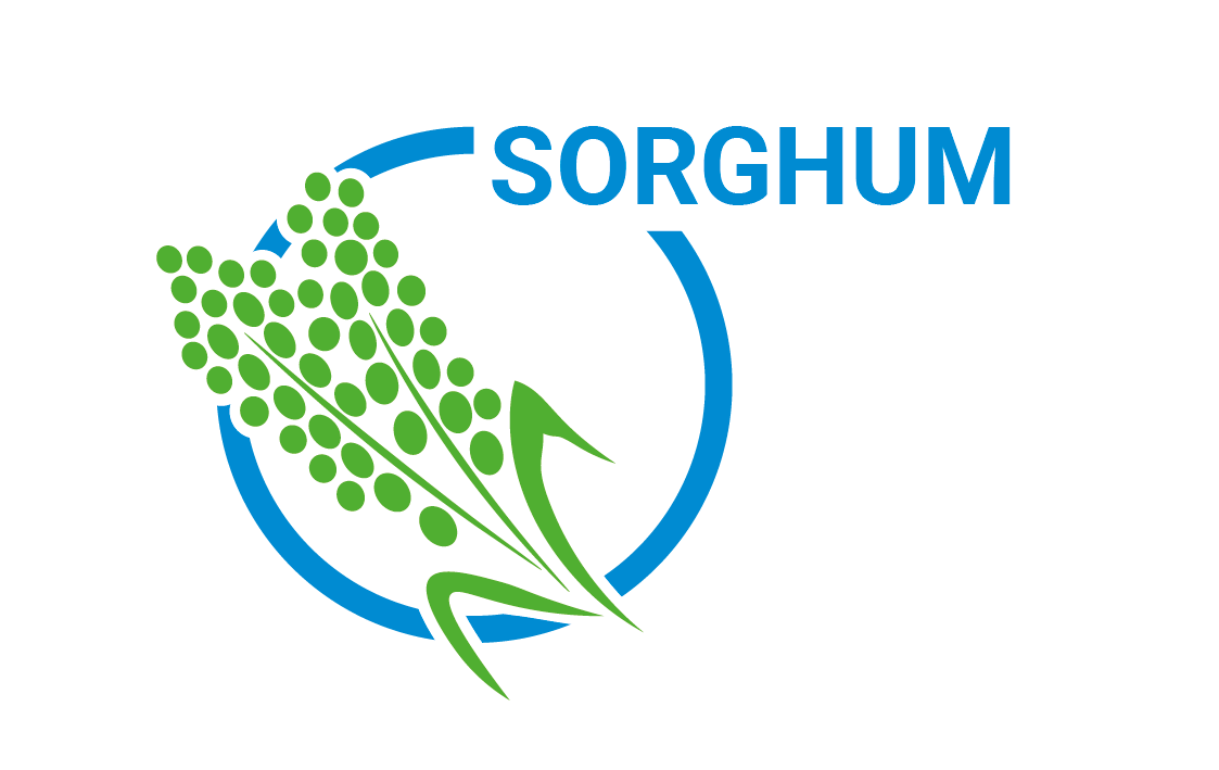 BONSILAGE CropIcon Sorghum eng web