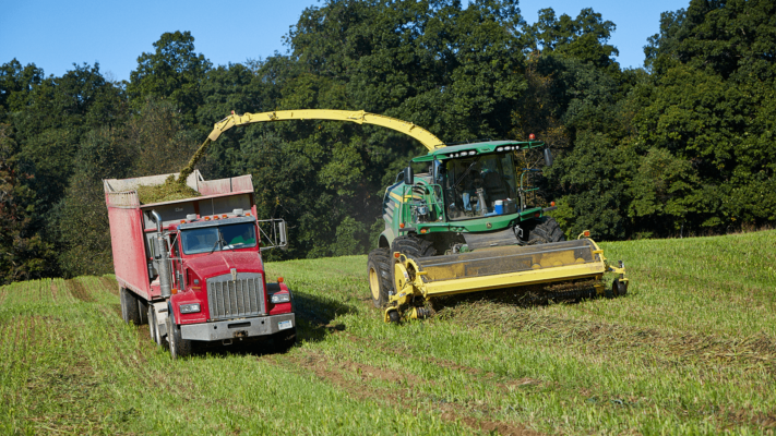 Website News BONSILAGE FORTE 20210218 2