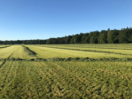 EnsilingGuide Silage Tips