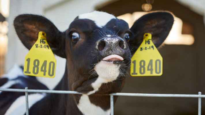 June Fertility News Header