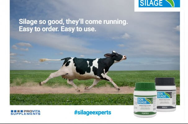 BonsilageTemplate Backdrop NEW e1633944320371