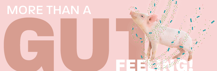 Banner MAXACTIVATZn final Kopie 1