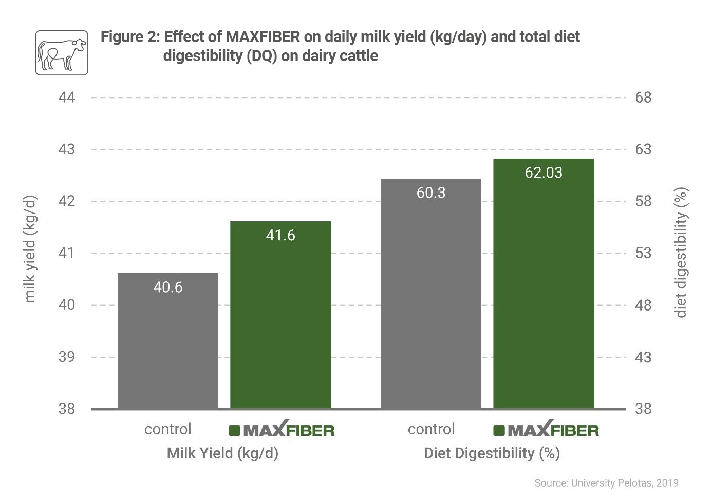 Figure 2 MAXFIBER
