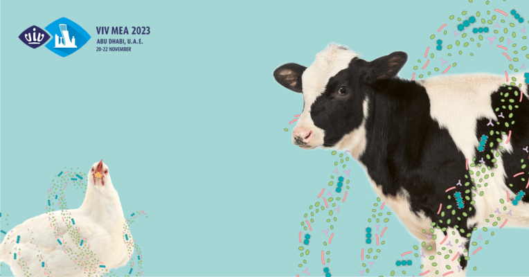 NEWS_VIV_MEA_Gut Health_Banner