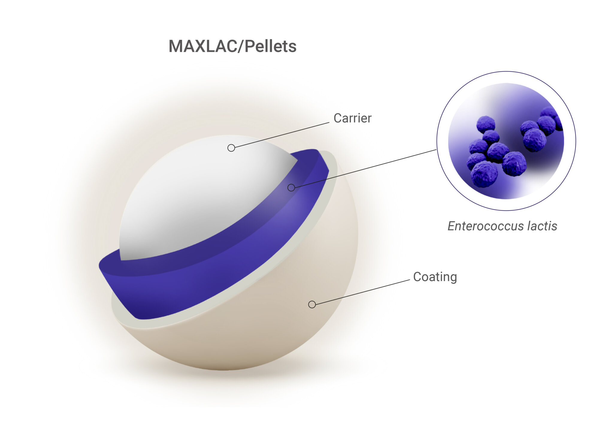 Grafik MAXLAC Pellets mit 1