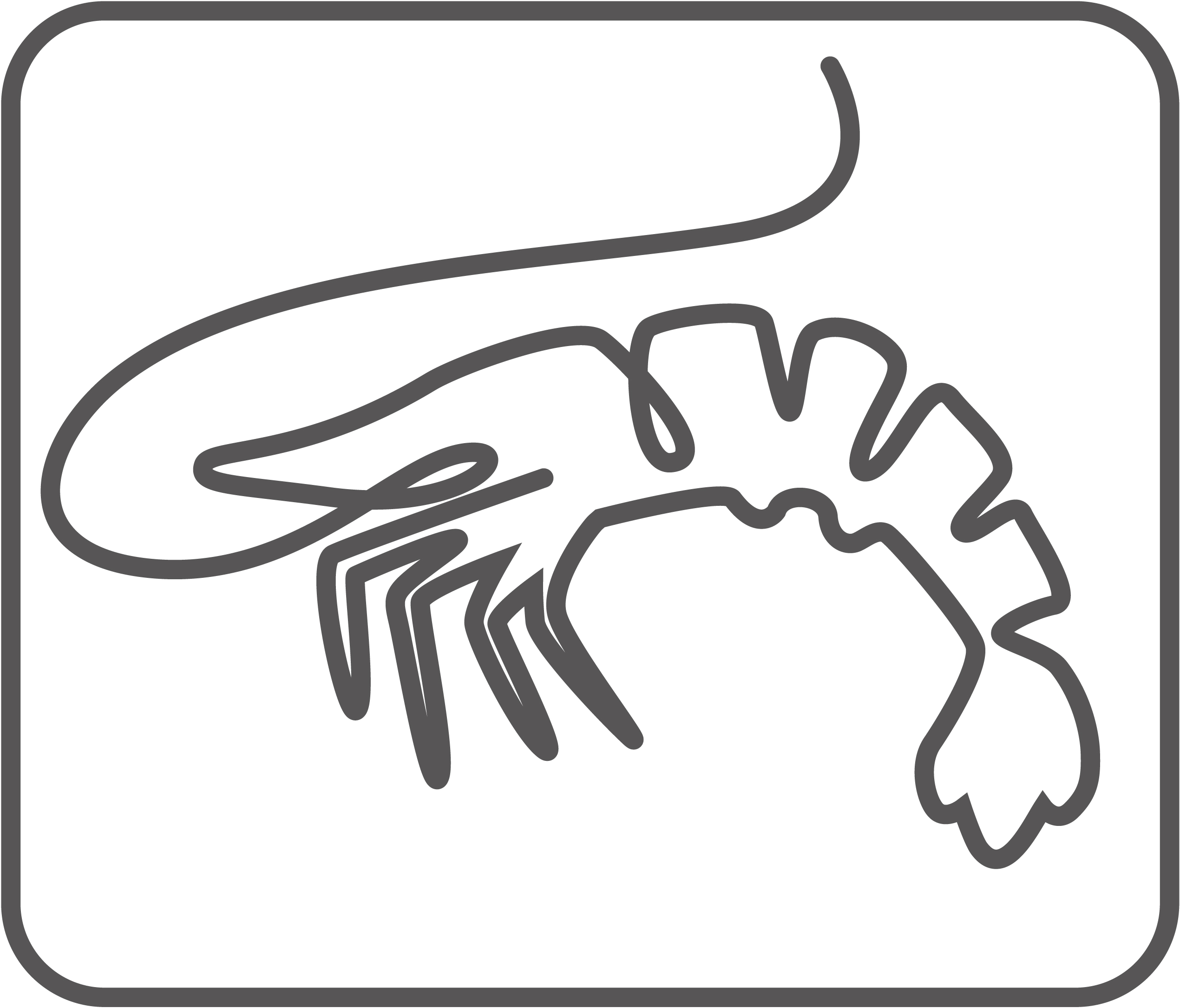 ProvitaSupplements Illustration Shrimp Rahmen klein